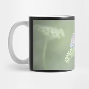 Common Blue Butterfly on Green Flower Mug